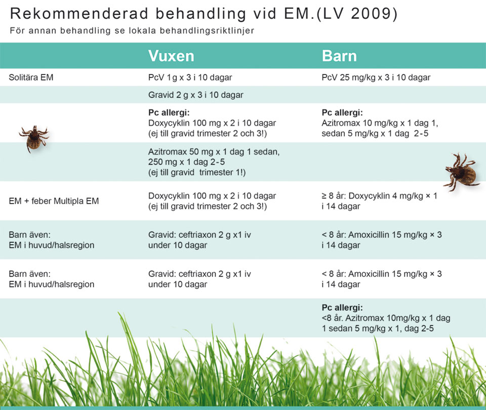 Borreliabehandling