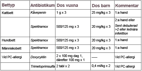 Antibiotika vid bett